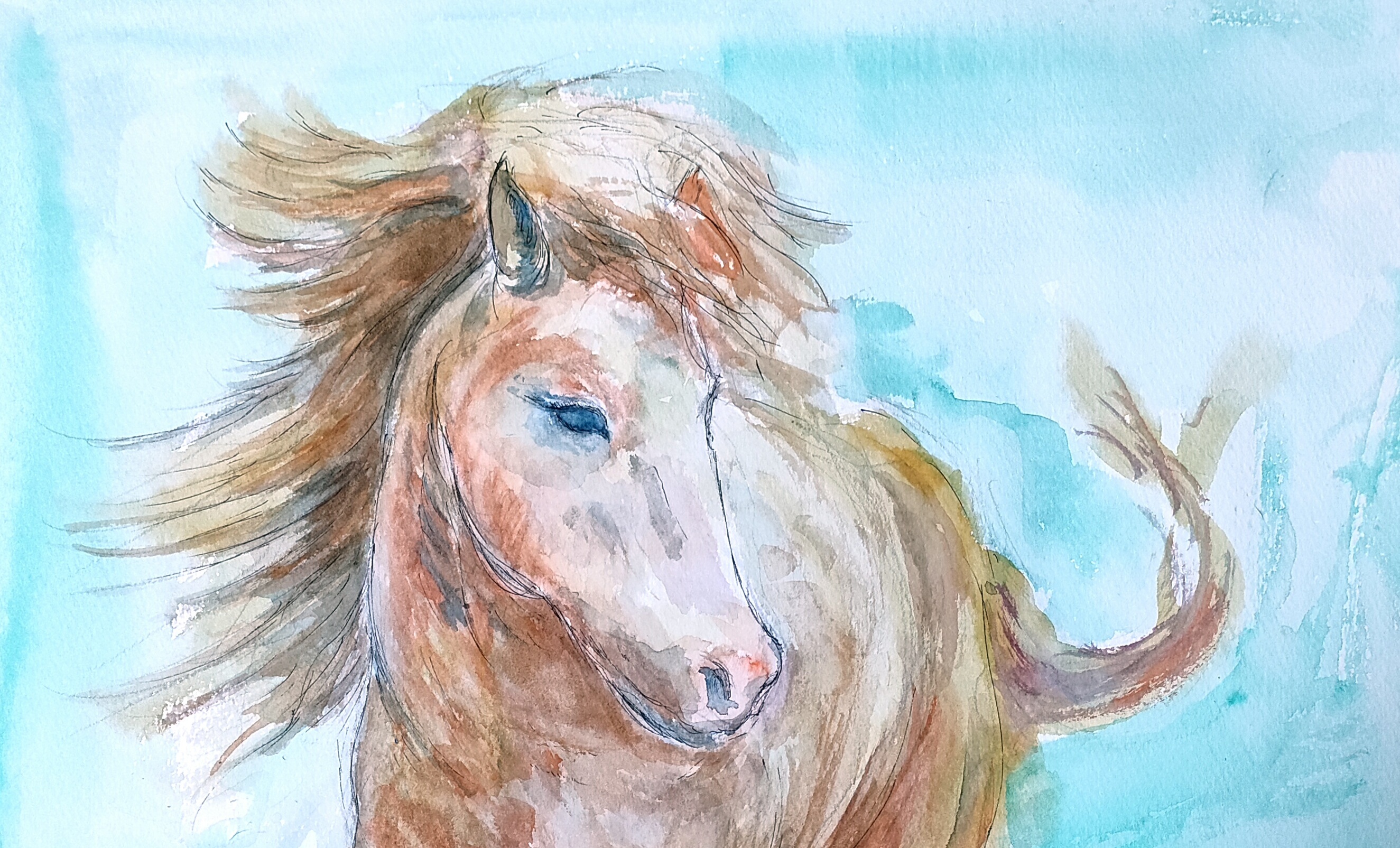 馬の水彩画 オレンジと黒 立ち上がる馬(高級水彩画用紙、F4, 24cm×33，5cm、墨、水彩